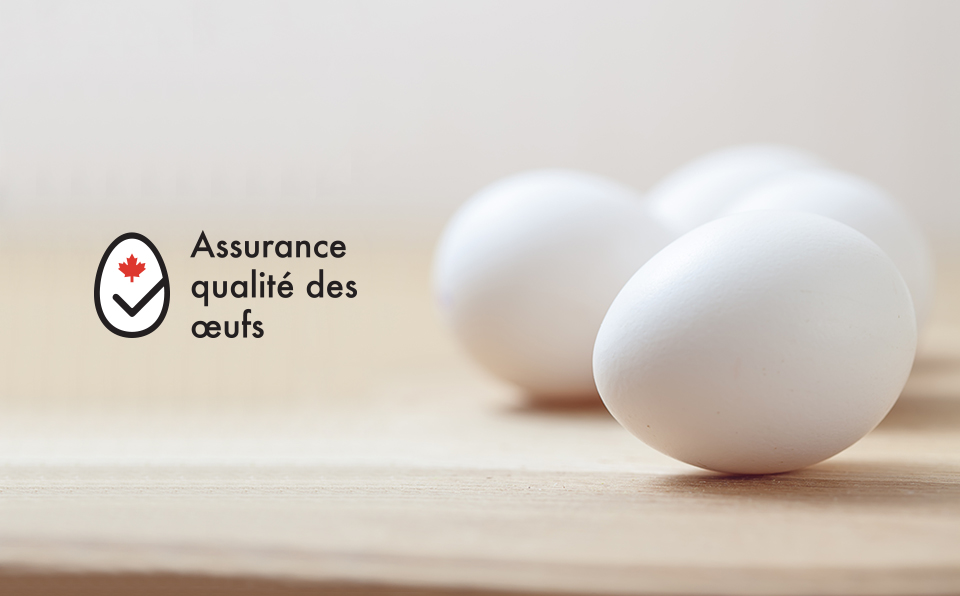 œufs De Catégorie A Ont Plusieurs Caractéristiques
